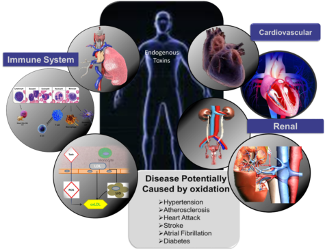 disease potentially cause by oxidation