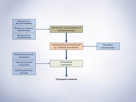 Schematic presentation of microbiota study frame-work. This simple representation suggests three major steps for conducting a microbiome study with the aim of investigating a disease phenotype and possible therapeutic outcome.
