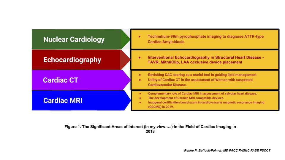 The Significant Areas of Interest in the Field of Cardiac Imaging in 2018