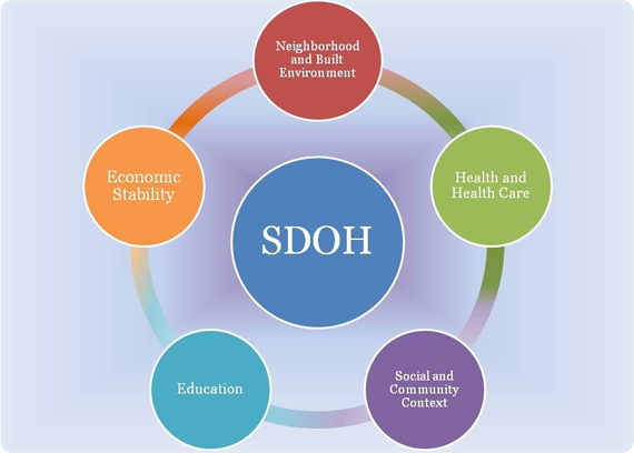 Caption: A key Healthy People 2020 goal is to “create social and physical environments that promote good health for all”. You can learn more [here]. Image Source: https://www.healthypeople.gov/2020/topics-objectives/topic/social-determinants-of-health