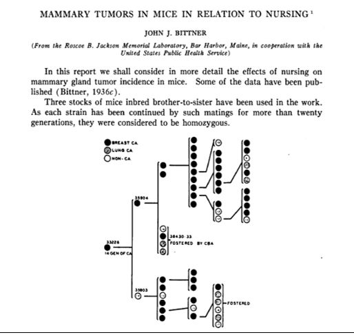 Bittner J. Mammary Tumors In Mice In Relation to Nursing. Cancer Research. 1937;30(3).