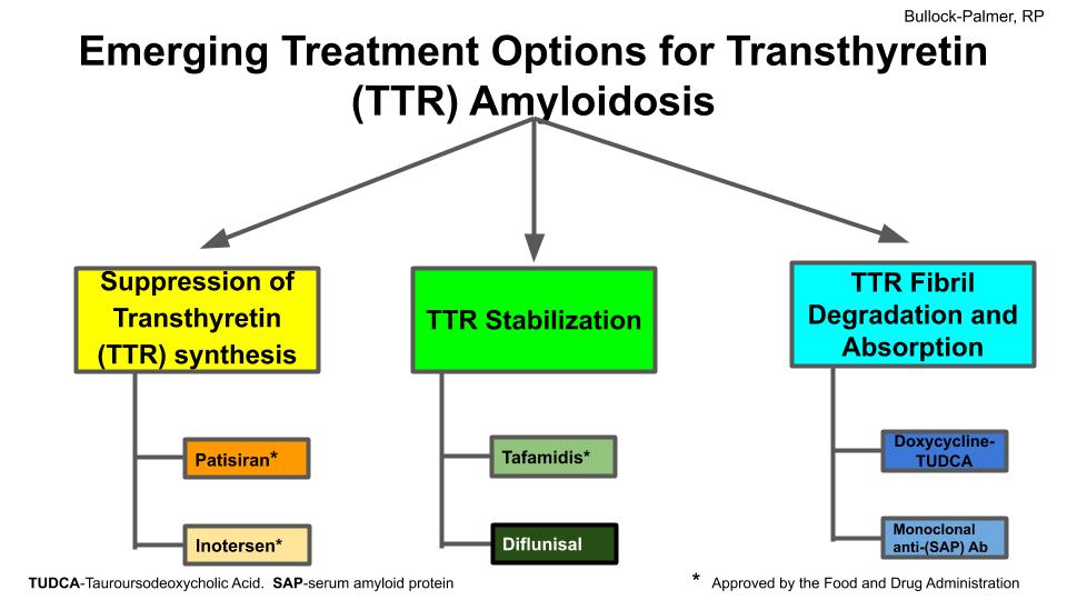 New Treatment Options for Transthyretin Cardiac Amyloidosis – What do I need to know?