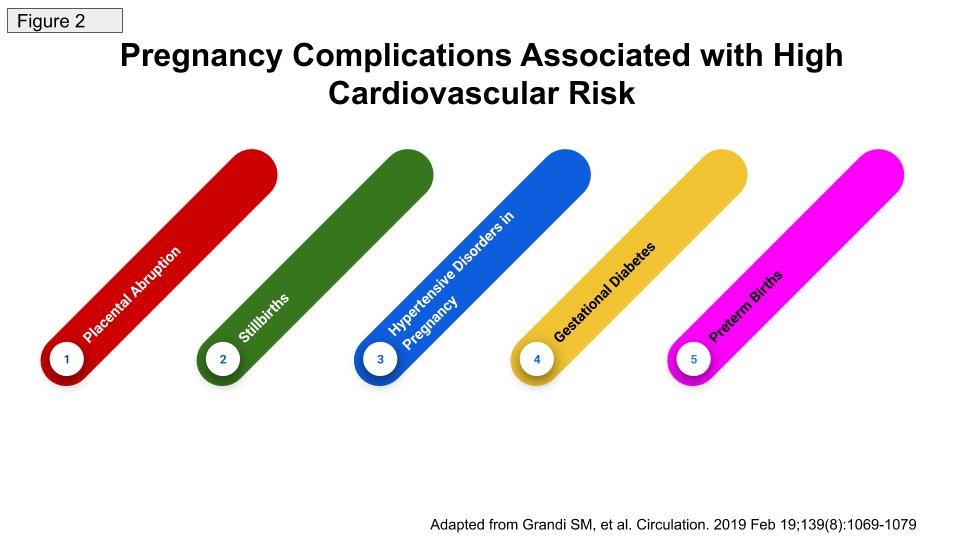 Cardiovascular Maternal Morbidity and Mortality In the United States – What is the Cardiovascular State of Health for Pregnant Women and What is the Role of the Cardiologist?