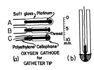 Polarographic oxygen electrode