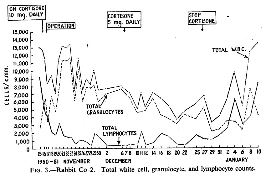 Figure 3 from Billingham RE, Krohn PL, Medawar PB. Effect of Cortisone or Survival of Skin Homografts in Rabbits. Br Med J. 1951