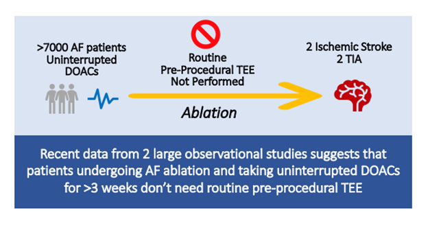 Is Routine Transesophageal Echocardiogram (TEE) Needed Before Atrial Fibrillation Ablation in Patients Treated with Uninterrupted Direct Oral Anticoagulation for At Least 3 Weeks?