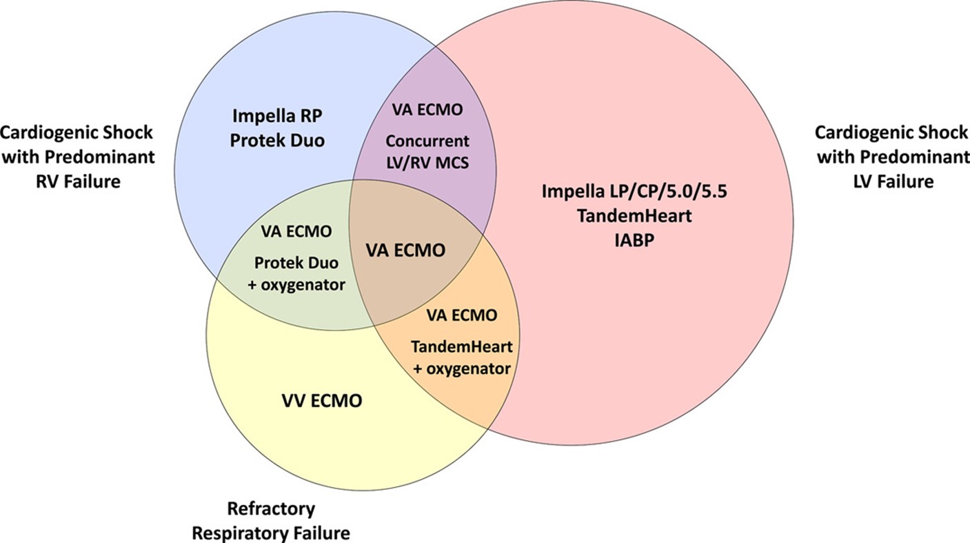 Management of Acute Myocardial Infarction Complicated by Cardiogenic Shock