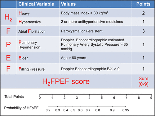 Taking the Guesswork out of HFpEF