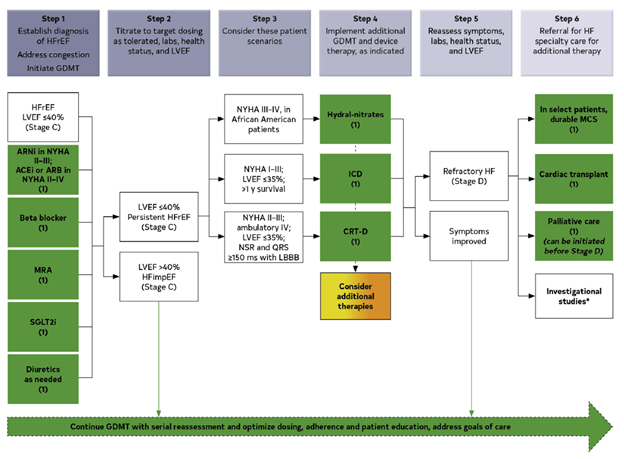 2022 AHA/ACC/HFSA Guideline for the Management of Heart Failure